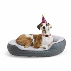 Petco Anti-Slip Round Plush Dog Bed, Washable, 46 X 38-in, Cream/Navy -PETCO Discount Store paws up 46 x 38 pet bed ee79f31b 8d90 4a1f bd3a 8971a7e82fab