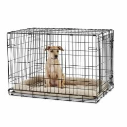 Petco 1-Door Folding Dog Crate -PETCO Discount Store petco 1 door folding dog crate large 36 a4e4464a 802a 46c4 a4a0 760d874a73c2