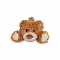 Petco Snuggles Bear Plush Dog Toy, Medium