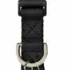 Petco Nylon Dog Collar, Adjustable, Includes Tag Muffler, Medium, Black -PETCO Discount Store petco adjustable black nylon dog collar 14 20 medium 3bc34945 54b6 4a1a bdcf f5d06b4a872b