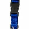 Petco Nylon Dog Collar, Adjustable, Includes Tag Muffler, Small, Blue -PETCO Discount Store petco adjustable blue nylon dog collar 9 14 small 1bc16ebe 06ee 4f79 8775 e33102715fe9