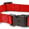 Petco Nylon Dog Collar, Adjustable, Includes Tag Muffler, 2X-Large/3X-Large, Red -PETCO Discount Store petco adjustable red nylon dog collars 20 30 2xl 3xl 436ed741 7048 4b21 9318 972542c42b72