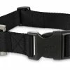 Petco Nylon Dog Collar, Adjustable, Includes Tag Muffer, 2X-Large/3X-Large, Black -PETCO Discount Store petco black adjustable nylon dog collar 20 30 2xl 3xl 0ded8347 337a 4038 9152 15af313f788b