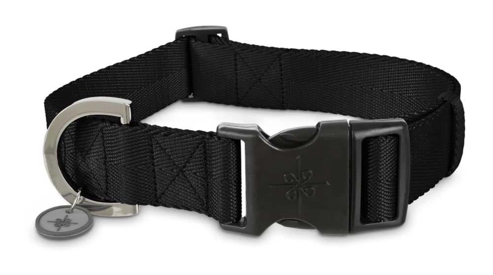 Petco Nylon Dog Collar, Adjustable, Includes Tag Muffer, 2X-Large/3X-Large, Black 3 Petco Nylon Dog Collar, Adjustable, Includes Tag Muffer, 2X-Large/3X-Large, Black