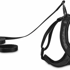Petco Mesh Cat Harness And Leash Set, Adjustable For Cat Walking, 4-ft, Black