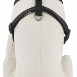 Petco Mesh Step-In Dog Harness Vest, Adjustable Straps, Medium, Black -PETCO Discount Store petco black mesh dog harness medium 7d62ce4c e3c0 4dfb 9b95 98550384e077