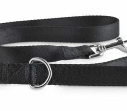 Petco Nylon Dog Leash, 4-ft, Black