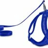 Petco Mesh Cat Harness And Leash Set, Adjustable For Cat Walking, 4-ft, Blue -PETCO Discount Store petco blue cat mesh harness lead set d5e5d55a c199 426d 8511 909d27eec871