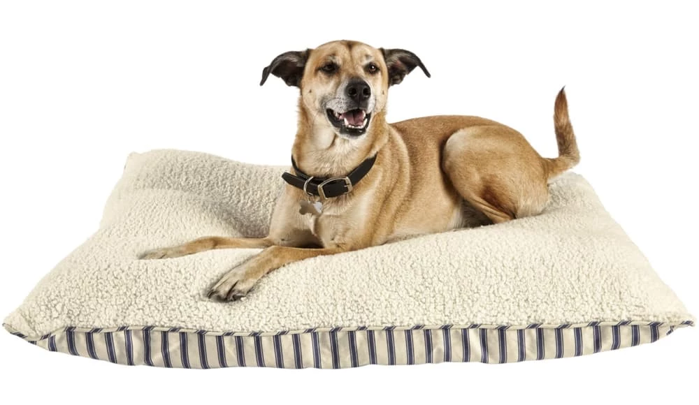 Petco Blue Striped Lounger Dog Pillow And Bed, Washable, 40-in X 30-in, Beige/Blue 4 Petco Blue Striped Lounger Dog Pillow And Bed, Washable, 40-in X 30-in, Beige/Blue - Image 2