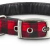 Petco Buffalo Check Plaid Dog Collar, Adjustable, Small -PETCO Discount Store petco buffalo check dog collar 12 15 small 0da3e21c 7a54 40bd b87c dc8e7f02e7cd