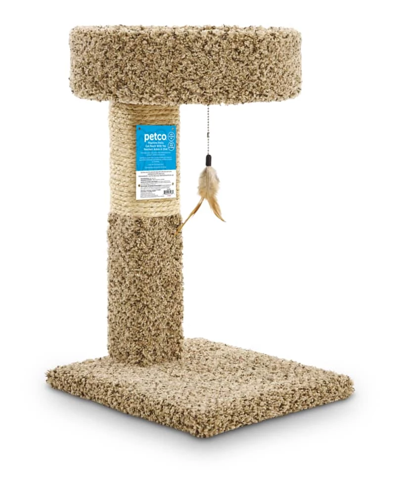 Petco Durable Carpet And Sisal Cat Perch And Post With Teaser Toy, 24-in 4 Petco Durable Carpet And Sisal Cat Perch And Post With Teaser Toy, 24-in - Image 2