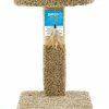 Petco Durable Carpet And Sisal Cat Perch And Post With Teaser Toy, 24-in