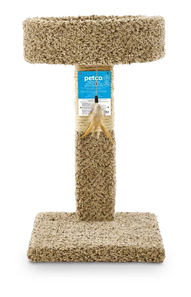 Petco Durable Carpet And Sisal Cat Perch And Post With Teaser Toy, 24-in 3 Petco Durable Carpet And Sisal Cat Perch And Post With Teaser Toy, 24-in