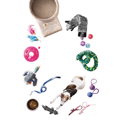 Petco Mesh Step-In Dog Harness Vest, Adjustable Straps, Large, Black -PETCO Discount Store petco cat perch post 24 ee99e0a8 14e8 4ef5 ad49 050d61322049 1