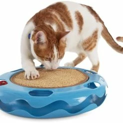 Petco Cat Track Cat Toy With Sisal Mat, Blue 20 Petco Cat Track Cat Toy With Sisal Mat, Blue -PETCO Discount Store petco cat track cat toy with sisal mat 1b1254b0 40a3 458c 8007 dedbfb8f318d