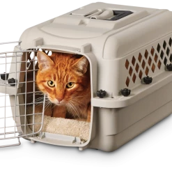 Petco Classic Dog/Pet Kennel, Lockable, 20-in -PETCO Discount Store petco classic dog kennel 20 l x 13 w x 10 h f2e93393 e368 44f2 bfce 5cfb5cfe7c17