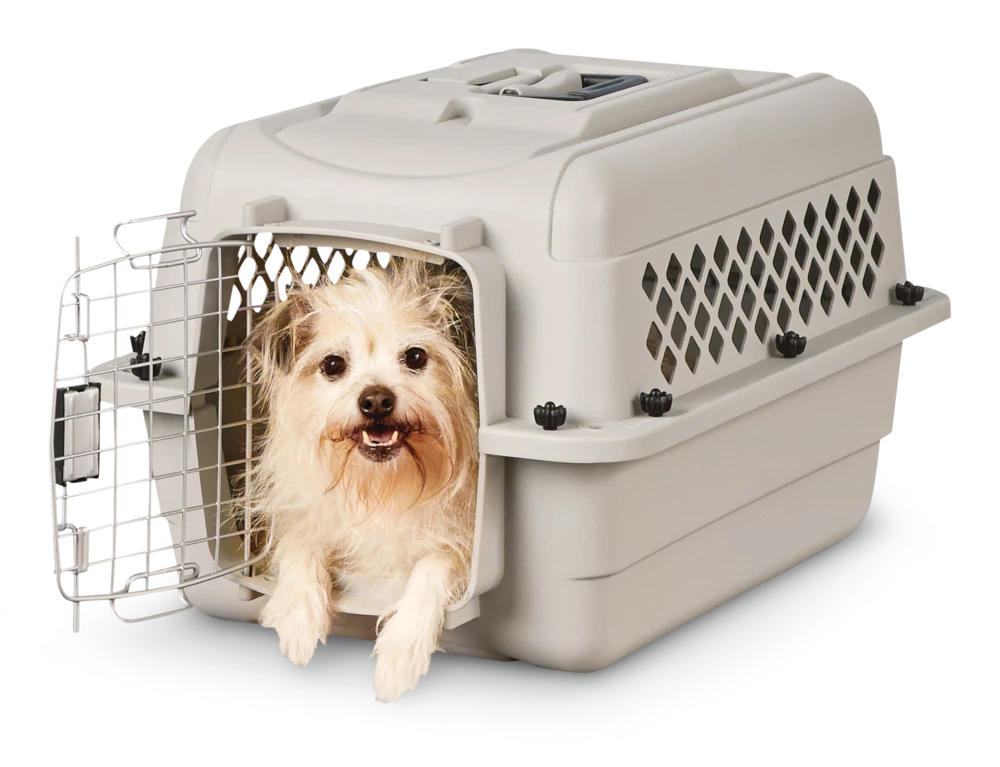 Petco Classic Dog/Pet Kennel, Lockable, 24-in 6 Petco Classic Dog/Pet Kennel, Lockable, 24-in - Image 4