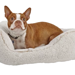 Petco Cozy Cuddler Plush Dog Bed, Washable, 20-in X 22-in, Cream -PETCO Discount Store petco cozy cuddler s cream da8a4679 13c2 40c8 aea3 0c5d02a8f91b