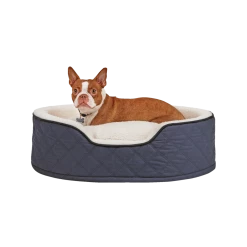 Petco Cuddler Orthopedic Memory Foam Dog Bed, Washable, 28-in X 20-in, Blue -PETCO Discount Store petco cuddler orthopedic dog bed blue 28 x 20 f4348017 0756 48ac af87 39ece06eea9d