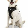 Petco Front Walking Mesh Reflective Dog Harness Vest, Adjustable, Assorted Sizes, Black