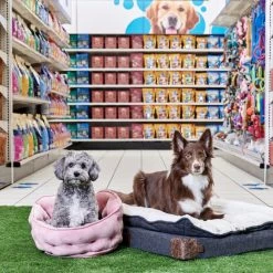 Petco Pillowtop Lounger Orthopedic Plush Dog Bed, Washable, 40-in X 30-in, Grey -PETCO Discount Store petco grey lounger orthopedic dog bed 40 l x 30 w 2f8289e0 ec5e 4029 9eae 964d5aa003ca