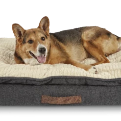 PETCO Discount Store -PETCO Discount Store petco grey lounger orthopedic dog bed 40 l x 30 w 56a71f92 e526 4ee7 b4c4 75f05a626020