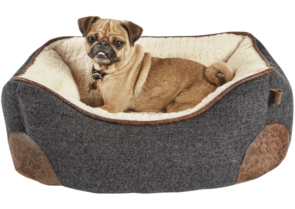 Petco Nester Memory Foam Dog Bed, Washable, 24-in X 18-in, Grey 4 Petco Nester Memory Foam Dog Bed, Washable, 24-in X 18-in, Grey - Image 2
