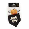 Petco Halloween Spooky & Kooky Pet Bandanas, One Size, 2-pk 1 Petco Halloween Spooky & Kooky Pet Bandanas, One Size, 2-pk -PETCO Discount Store petco halloween bandana 2 pack one size 3dd2bf45 b609 498b 84e9 db56e437a610