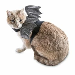 Petco Halloween Bratty Batty Cat Costume -PETCO Discount Store petco halloween bat costume 482058b3 9506 42e2 a9a6 baa829cde541