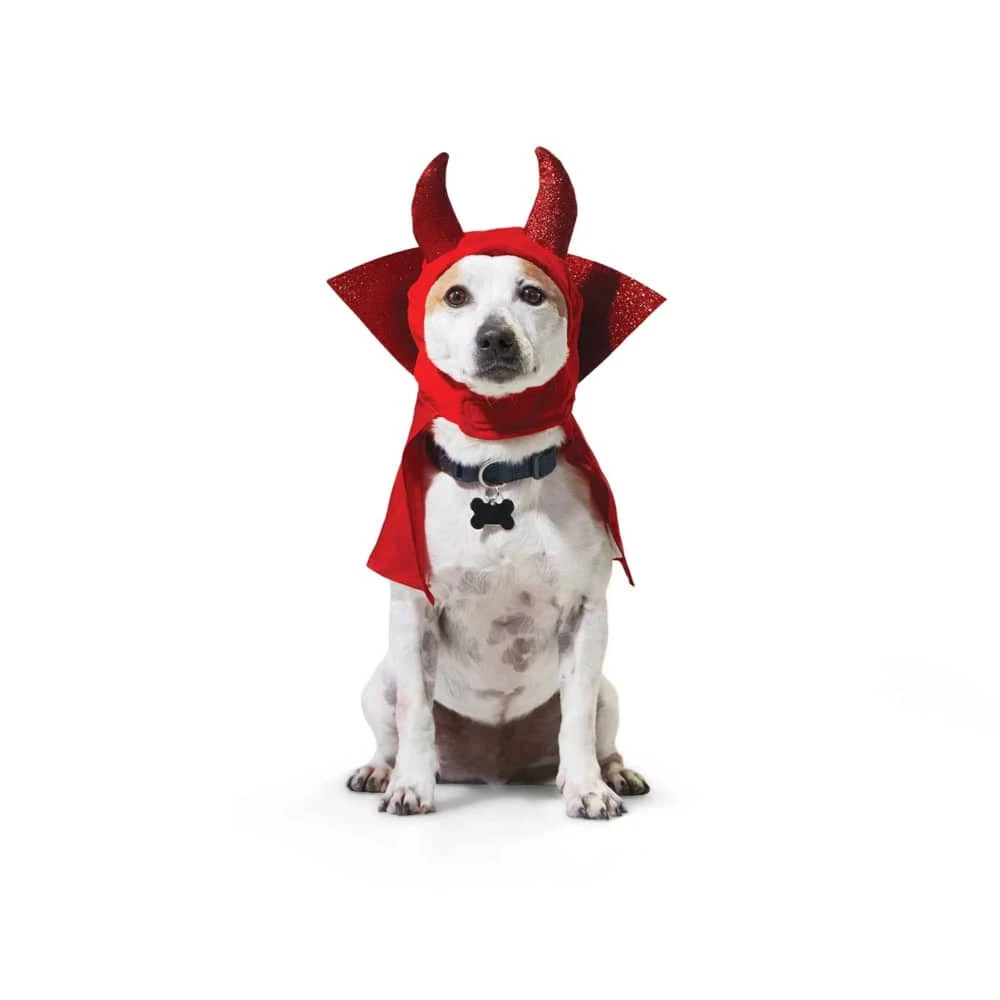 Petco Halloween-Devil Costume 7 Petco Halloween-Devil Costume - Image 5