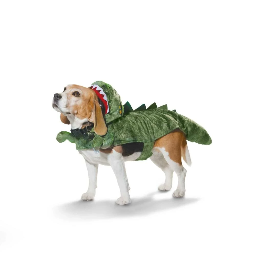 Petco Halloween-Dinosaur Costume 6 Petco Halloween-Dinosaur Costume - Image 4
