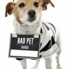 Petco Halloween Prisoner Dog Costume