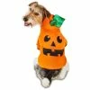 Petco Halloween Pumpkin Dog/Pet Costume Hoodie, Assorted Sizes, Orange -PETCO Discount Store petco halloween pumpkin hoodie xs 8fbed574 e489 479c adb0 db78a9c0c27a