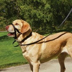 Petco No-Pull Dog Head Halter, Adjustable, Large, Black -PETCO Discount Store petco head halter for dogs large d344950c d0f5 4dcc a0e5 9592aff89bb1