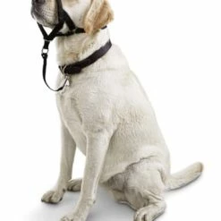 Petco No-Pull Dog Head Halter, Adjustable, Medium, Black
