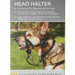 Petco No-Pull Dog Head Halter, Adjustable, Medium, Black -PETCO Discount Store petco head halter for dogs medium cf3286de c558 46fc a92c 88a070c9d668