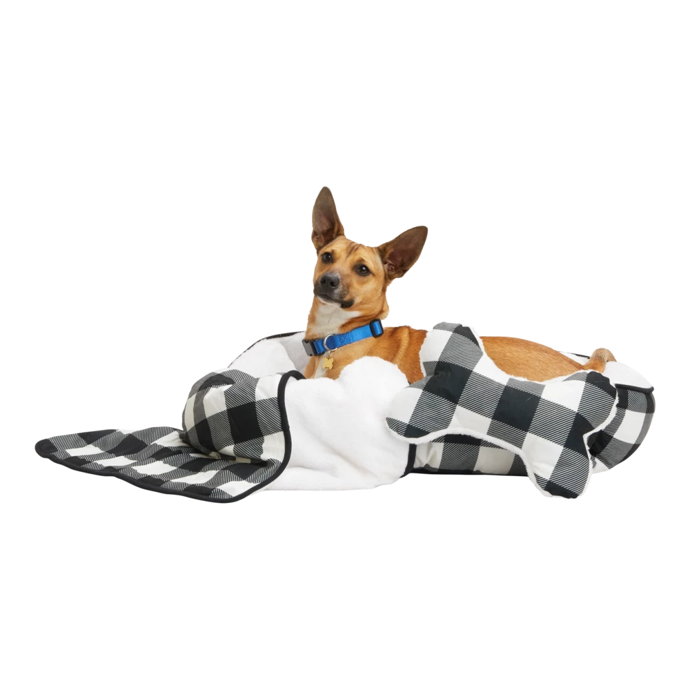 Petco Holiday Pet Bed Gift Set 7 Petco Holiday Pet Bed Gift Set - Image 5