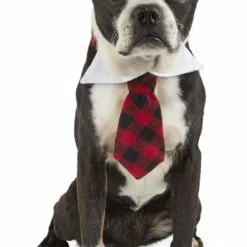 Petco Holiday Buffalo Check Necktie Dog Costume Collar Accessory, Adjustable, Assorted Styles