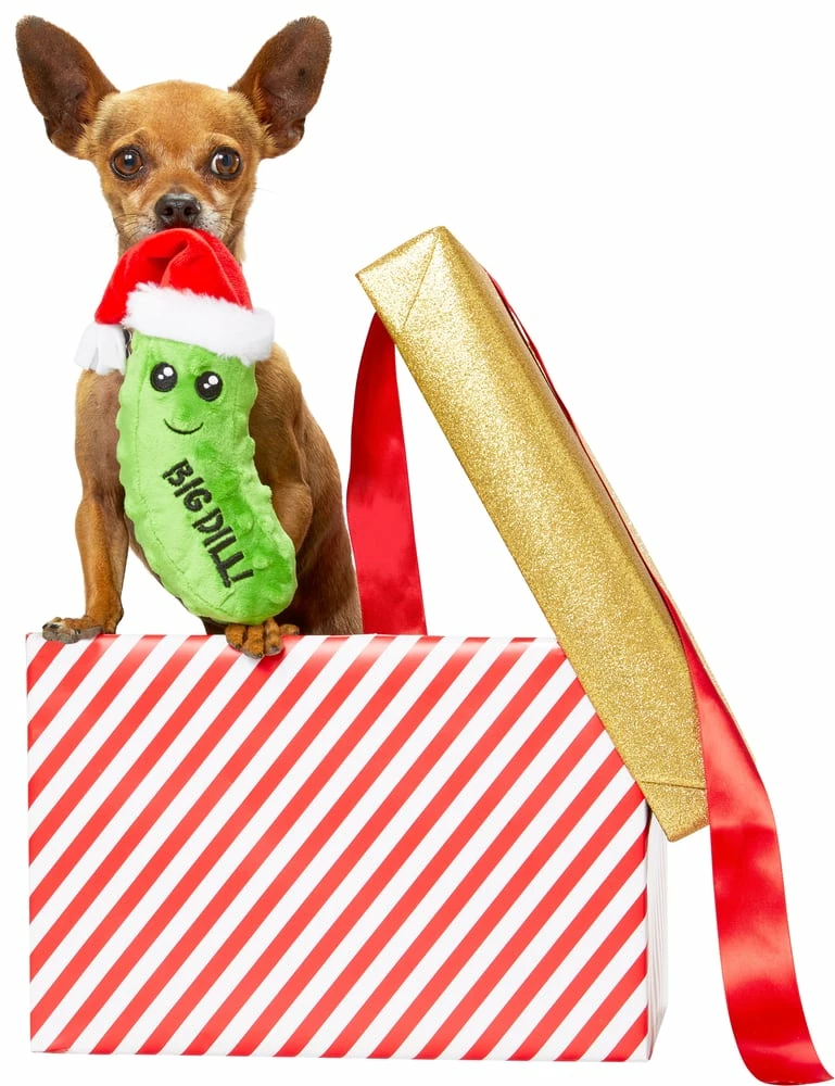 Petco Pickle Soft Plush Squaky Dog Toys, Assorted Styles, 6-in 9 Petco Pickle Soft Plush Squaky Dog Toys, Assorted Styles, 6-in - Image 7