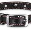 Petco Leather Jewel Dog Collar, Adjustable, Assorted Sizes, Black/Pink 1 Petco Leather Jewel Dog Collar, Adjustable, Assorted Sizes, Black/Pink -PETCO Discount Store petco jewel collar pink large 4a60c150 23c5 4096 8b79 b2db0f0e96c9