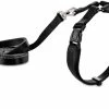 Petco Kitten Harness And Leash Set, Adjustable, 4-ft, Black 2 Petco Kitten Harness And Leash Set, Adjustable, 4-ft, Black -PETCO Discount Store petco kitten harness black 49b29d44 24d9 47dc a239 585be23126a5
