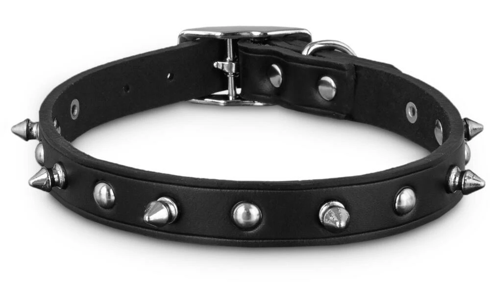 Petco Leather With Spike Rivets Dog Collar, Adjustable, Assorted Sizes, Black 6 Petco Leather With Spike Rivets Dog Collar, Adjustable, Assorted Sizes, Black - Image 4