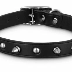Petco Leather With Spike Rivets Dog Collar, Adjustable, Assorted Sizes, Black 8 Petco Leather With Spike Rivets Dog Collar, Adjustable, Assorted Sizes, Black -PETCO Discount Store petco leather black spike collar md e9259fd4 c2a4 450d b8c9 7f5bf7b69c63