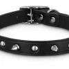 Petco Leather With Spike Rivets Dog Collar, Adjustable, Assorted Sizes, Black 1 Petco Leather With Spike Rivets Dog Collar, Adjustable, Assorted Sizes, Black -PETCO Discount Store petco leather black spike collar x lg fa61bd2b f7ce 4568 a66b 23e8a88f7665