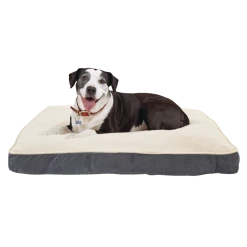 Petco Lounger Plush Dog Bed, Washable, 40-in X 30-in, Cream -PETCO Discount Store petco lounger dog bed grey 40 l x 30 w x 3 5 h 0ed25a5a 9327 439b a98c 8a2f194b7747