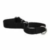 Petco Nylon Martingale Dog Collar, Adjustable, Assorted Sizes, Black