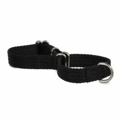 Petco Nylon Martingale Dog Collar, Adjustable, Assorted Sizes, Black