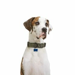 Petco Nylon Martingale Dog Collar, Adjustable, Assorted Sizes, Camo -PETCO Discount Store petco martingale dog collar camo large 79aee035 7369 4c5a 891d 2bcc09e58756