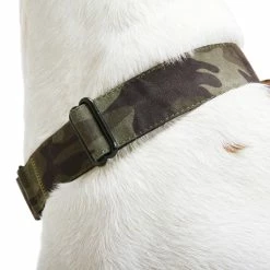 Petco Nylon Martingale Dog Collar, Adjustable, Assorted Sizes, Camo -PETCO Discount Store petco martingale dog collar camo large cecce72e 2a57 4f16 9819 83bec90fba32