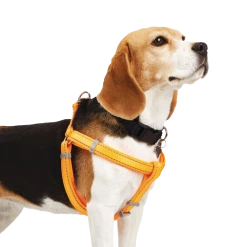 Petco Padded Step-in, Reflective Dog Harness Vest, Adjustable, Assorted Sizes, Orange
